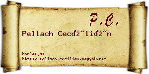 Pellach Cecílián névjegykártya